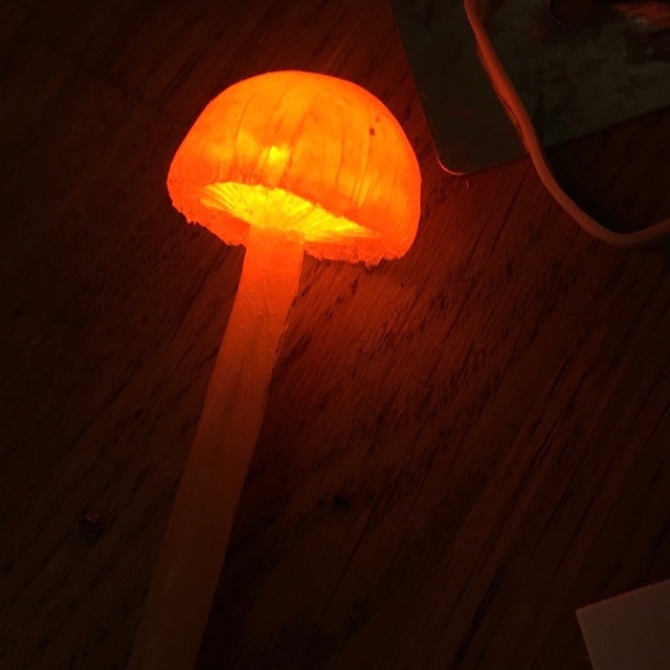 A bright-orange glowing mushroom laying on its side