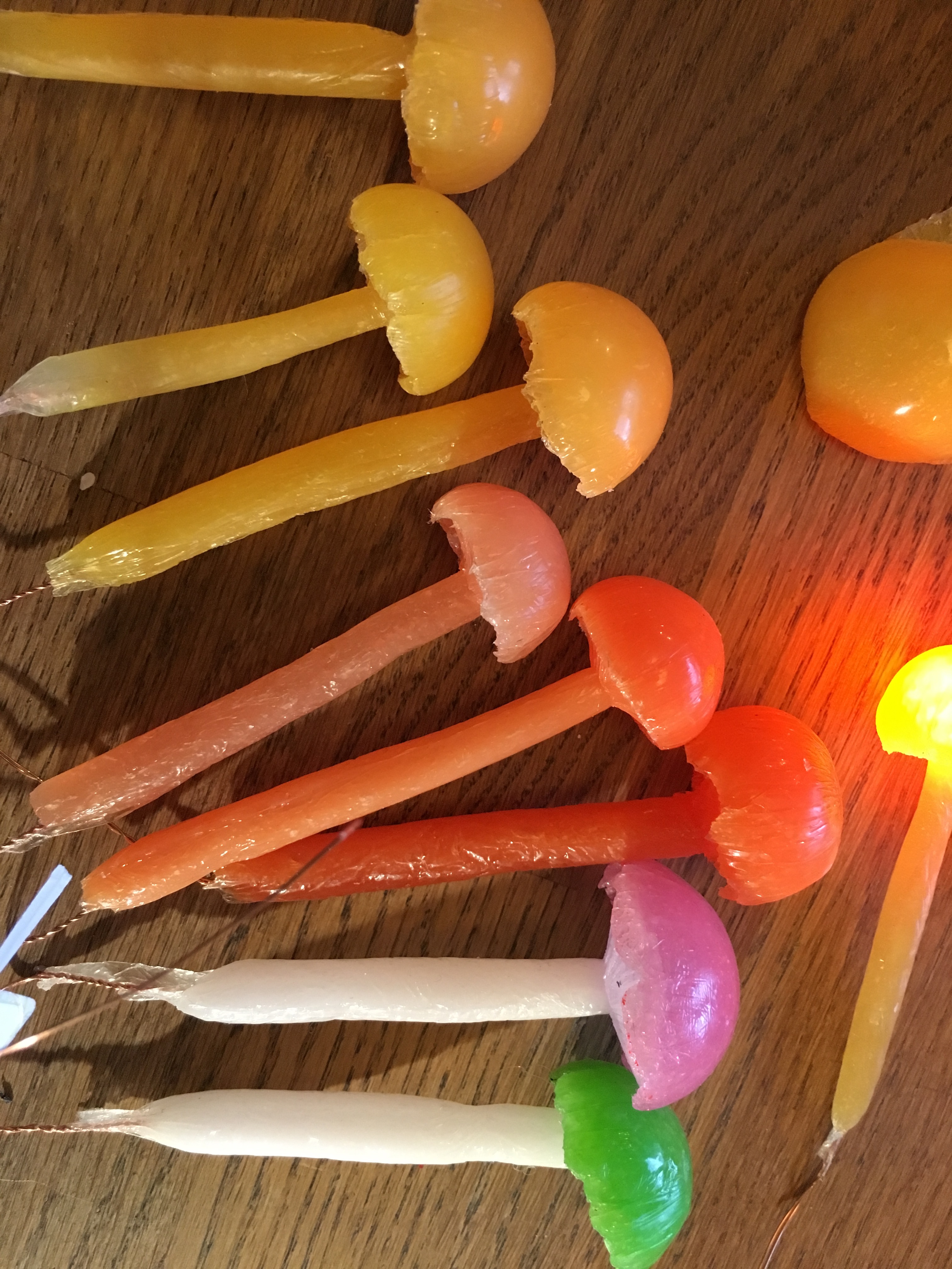 Several multi-coloured mushrooms lie on a table. One glows.