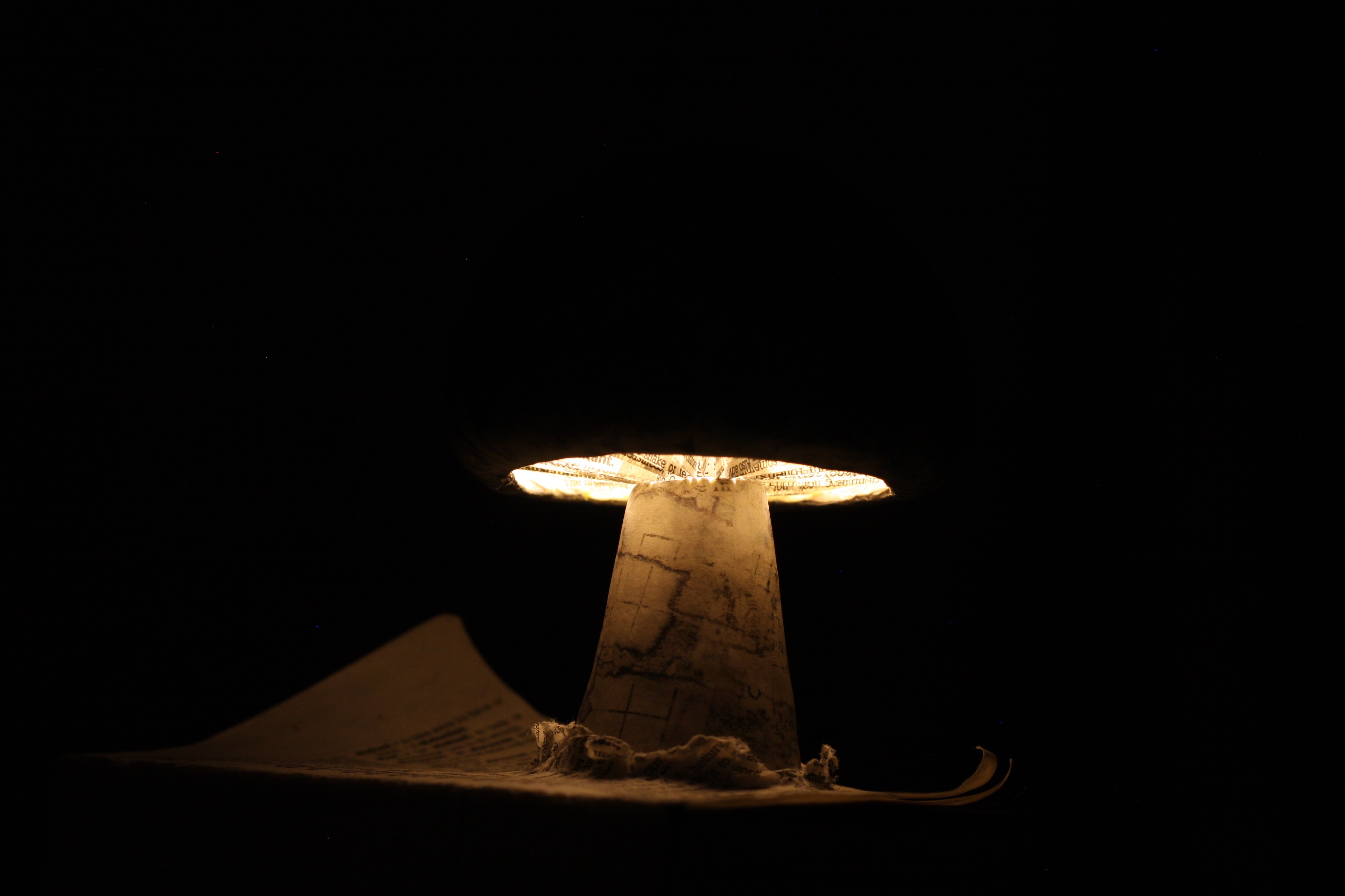 Paper mushroom gills lit, surrounded by darkness