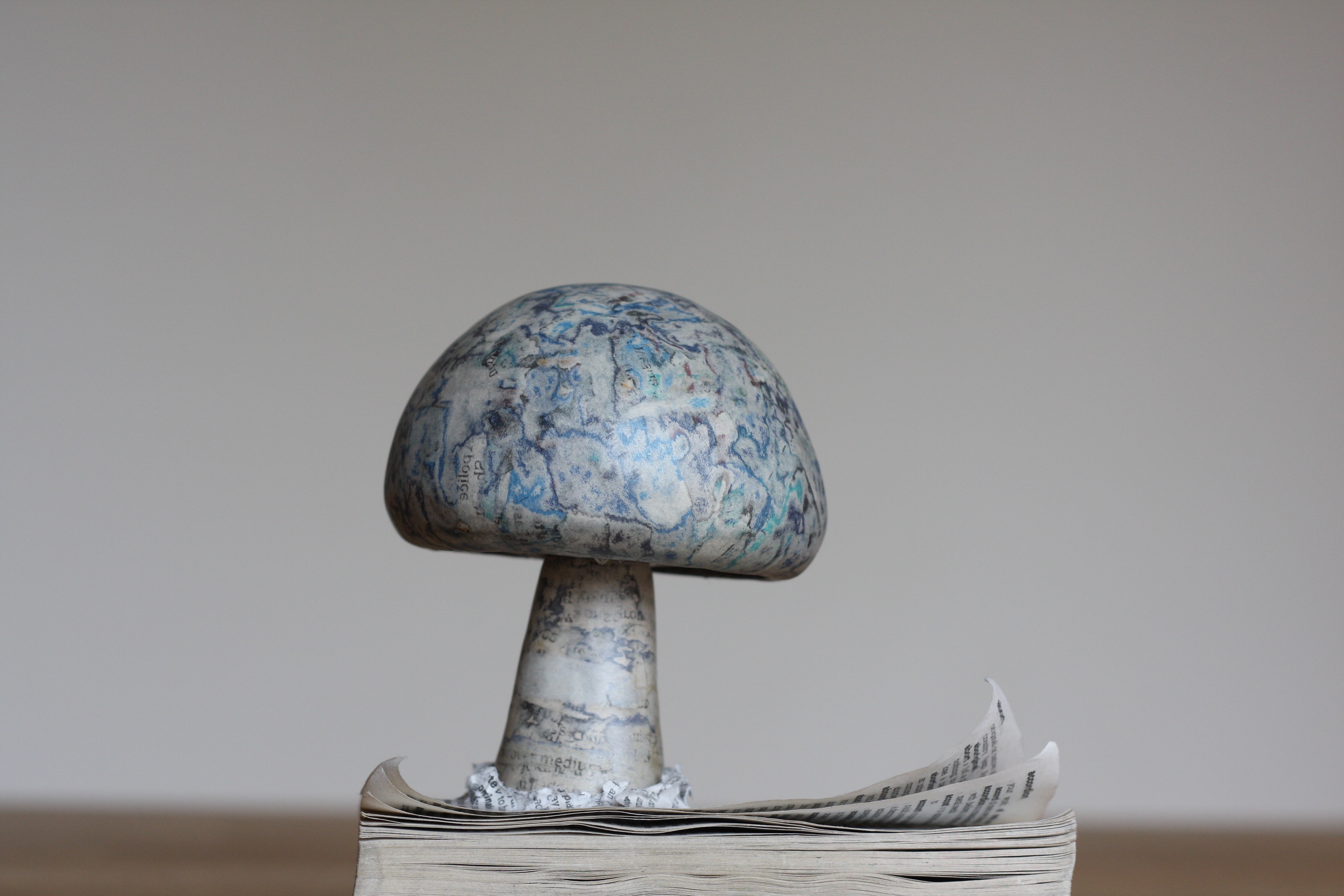Papier-mâché mushroom, growing from a book