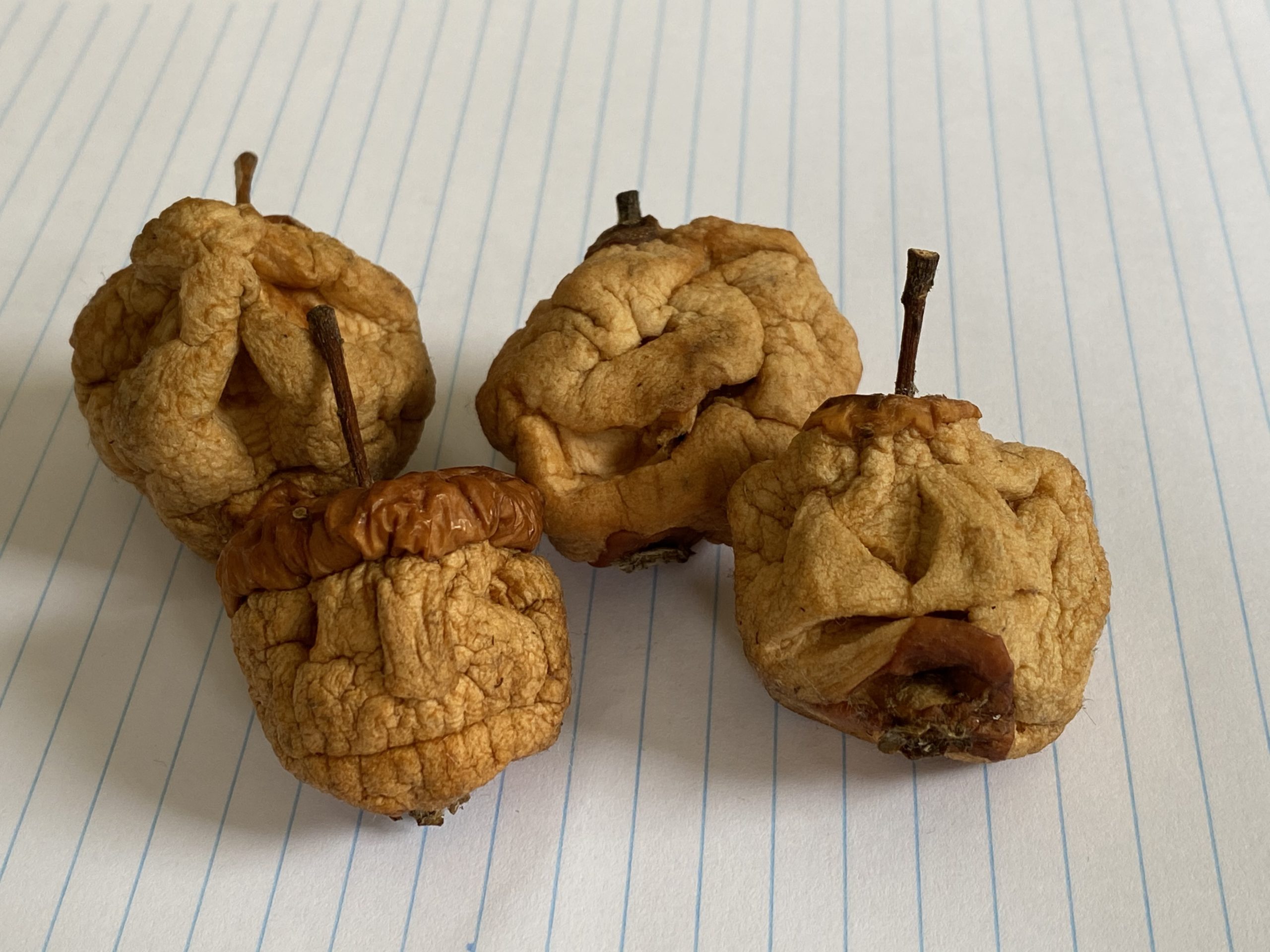 Four apples carved into different faces