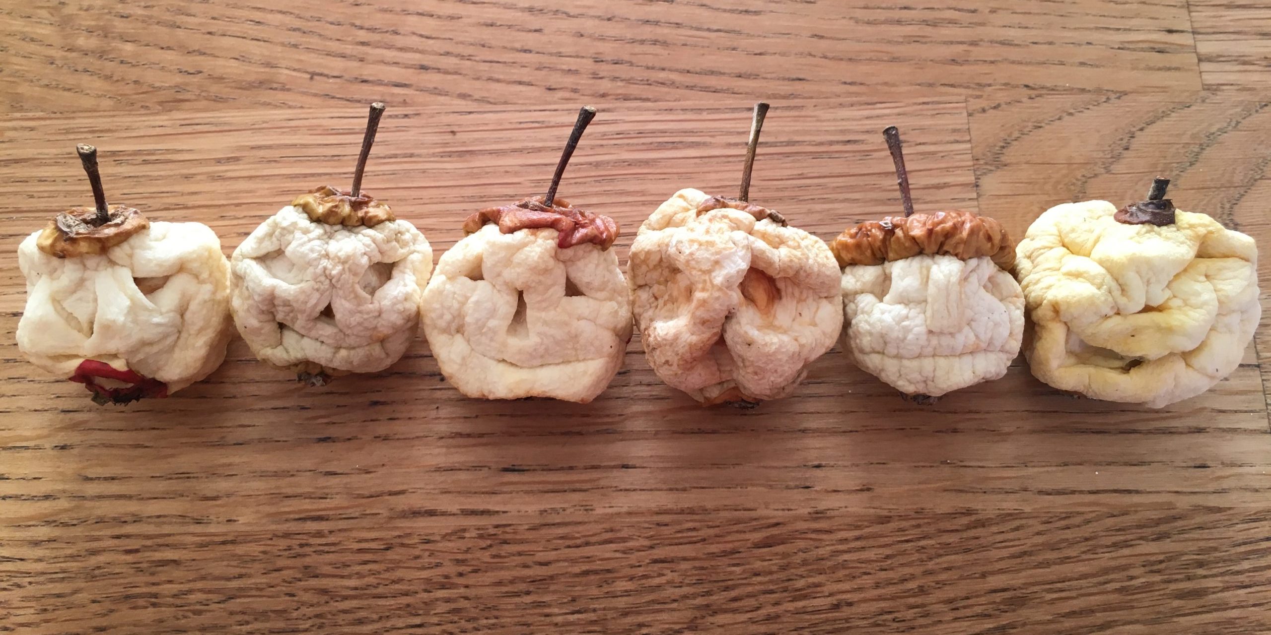 Six different carved apple heads in a line